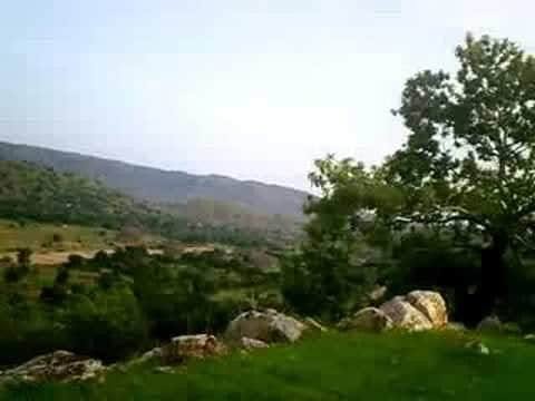 خضرة الوادي العظيم