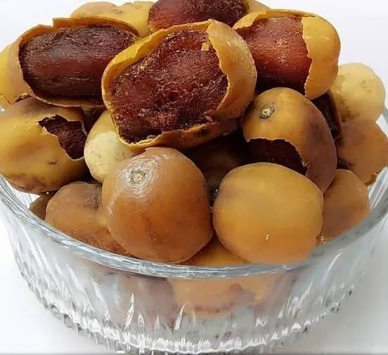 شجرة اللالوب / الهجليج (Balanites aegyptiaca — Zygophyllaceae · Desert Date) — الثمرة/المحصول عن قرب: وعاء ثمار بلح الصحراء (اللالوب) الناضجة والنقية من هيبان — Balanites aegyptiaca — الأطلس النباتي لمحلية هيبان الكبرى بجبال النوبة [heiban-laloub-fruit.jpg]